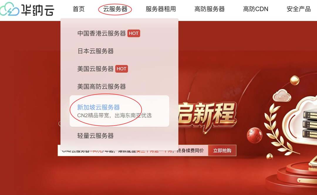 华纳云新加坡云服务器购买教程-选择产品