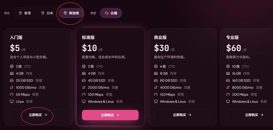 HHost新加坡VPS购买教程-套餐选择