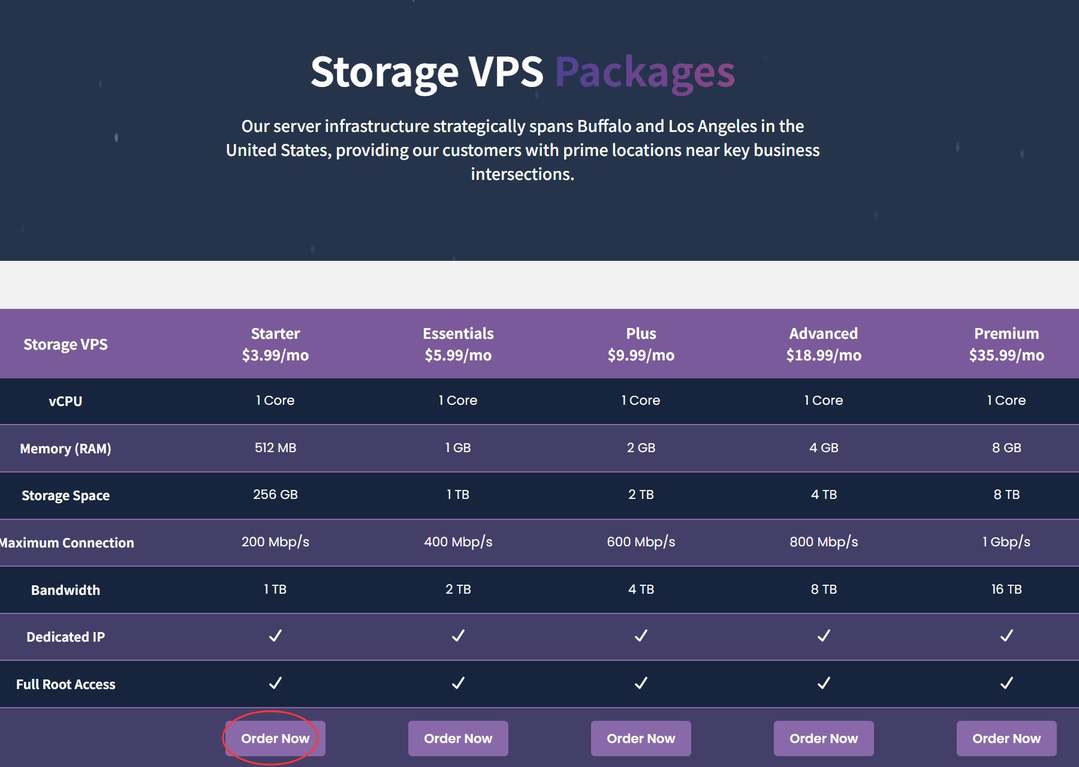 DediRock美国大硬盘VPS购买教程-套餐选择