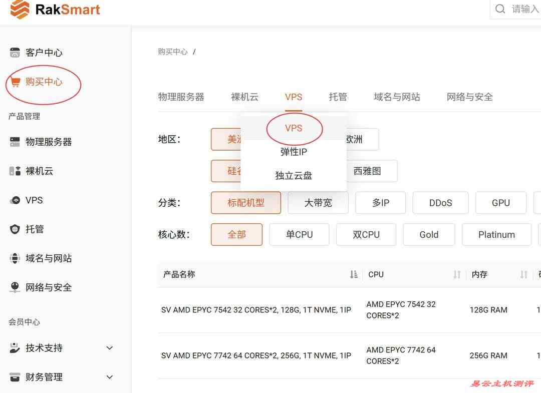 RAKsmart墨西哥VPS购买教程-产品选择