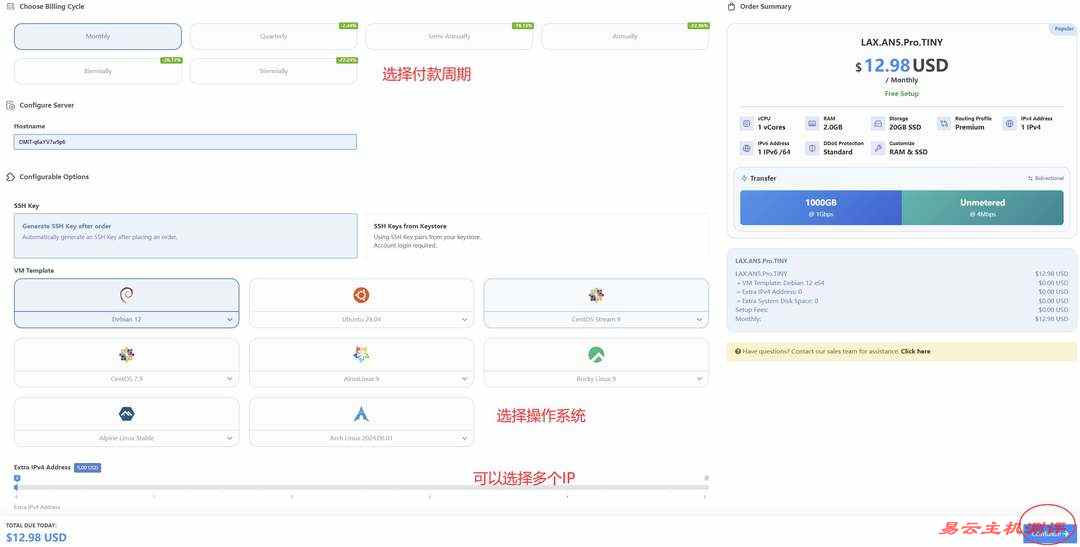 DMIT美国CN2 GIA VPS购买教程-订单页面确认