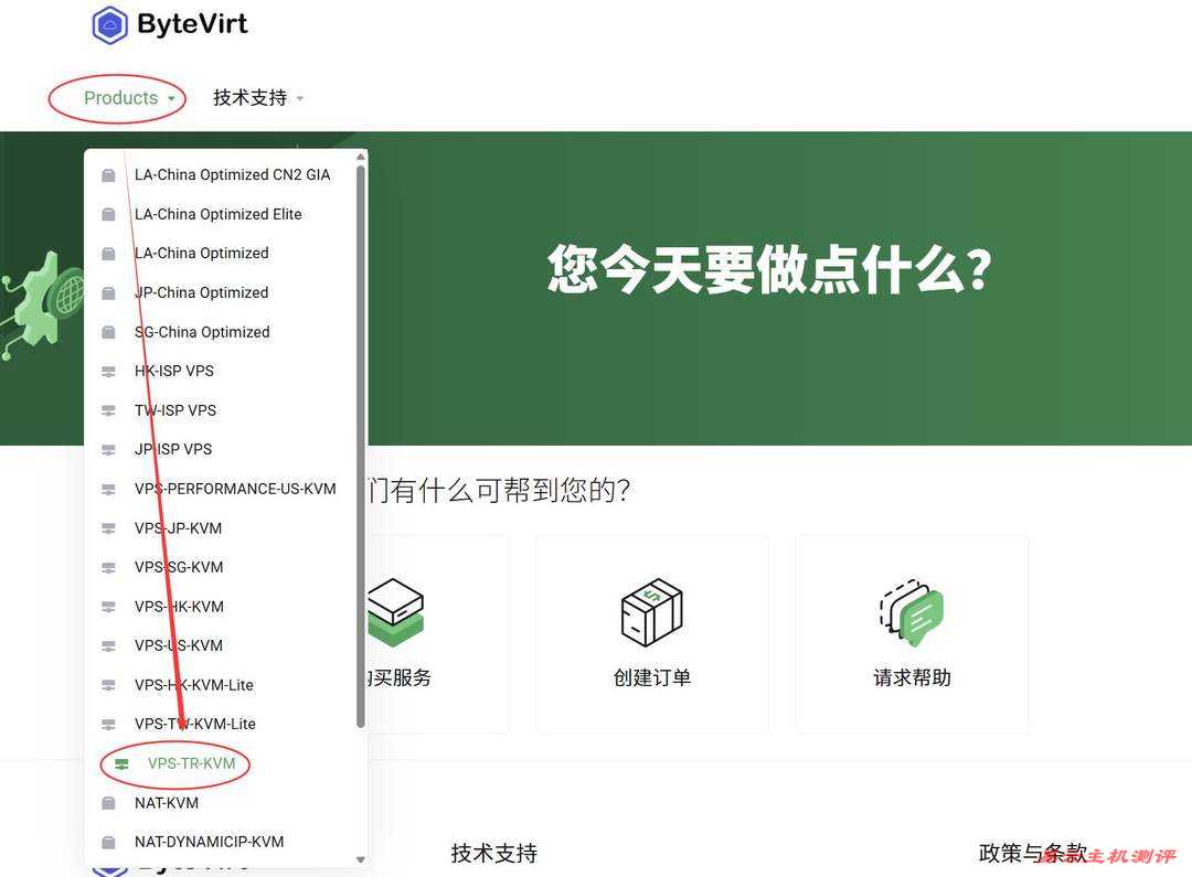 ByteVirt土耳其VPS购买教程-节点选择