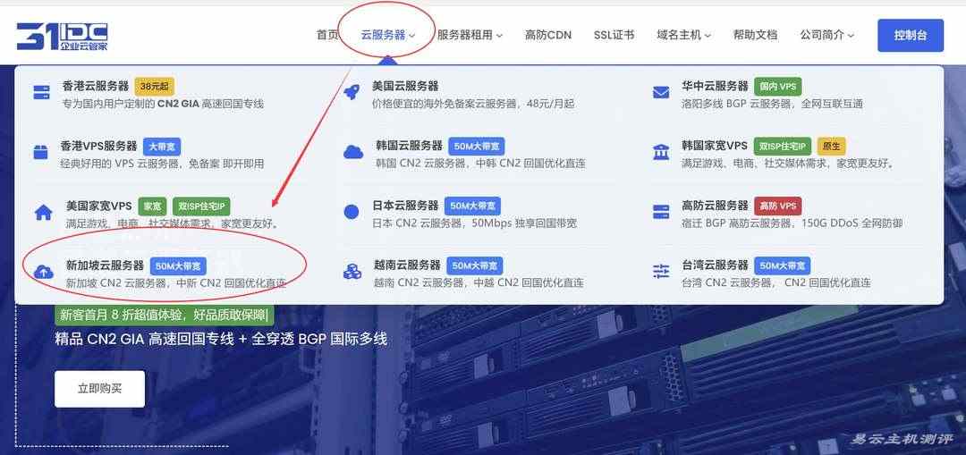 31IDC新加坡VPS购买教程-产品入口