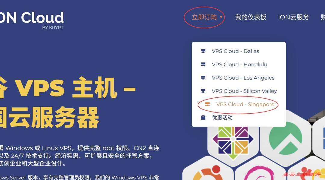 iON新加坡VPS购买教程-产品选择