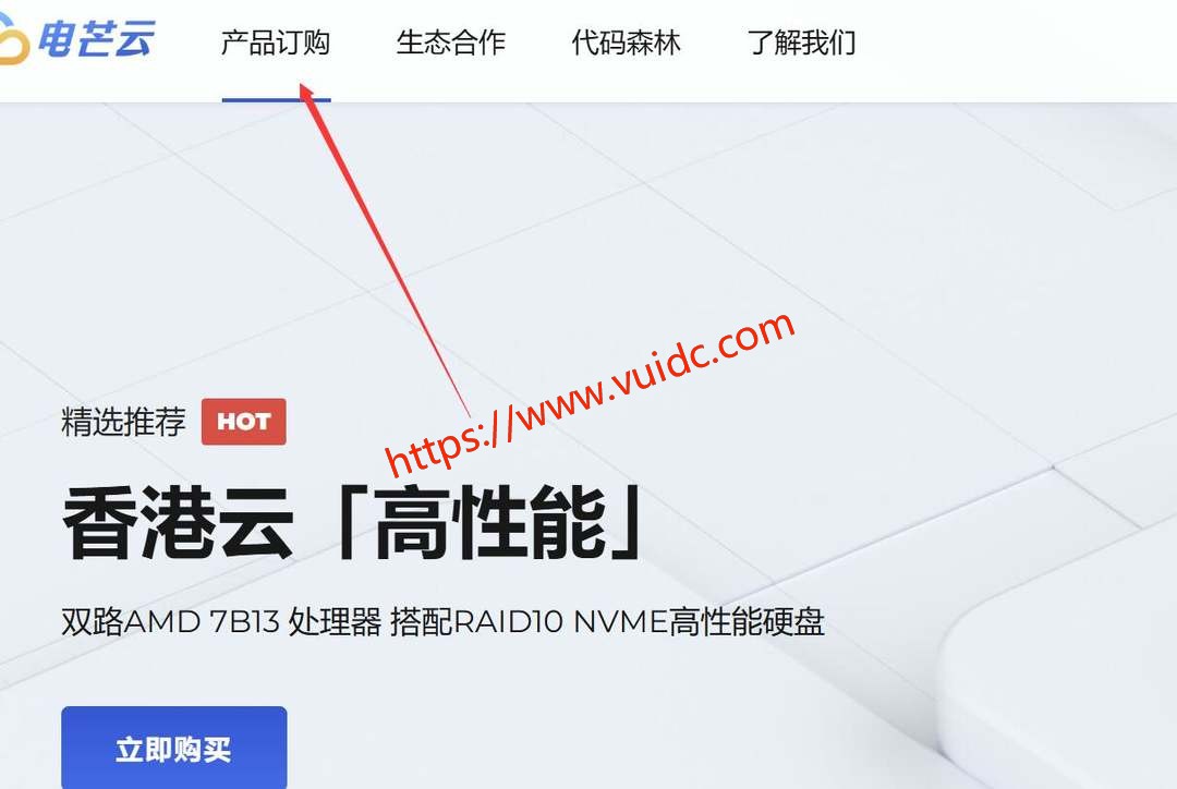 电芒云国际线路香港VPS购买教程-官网入口