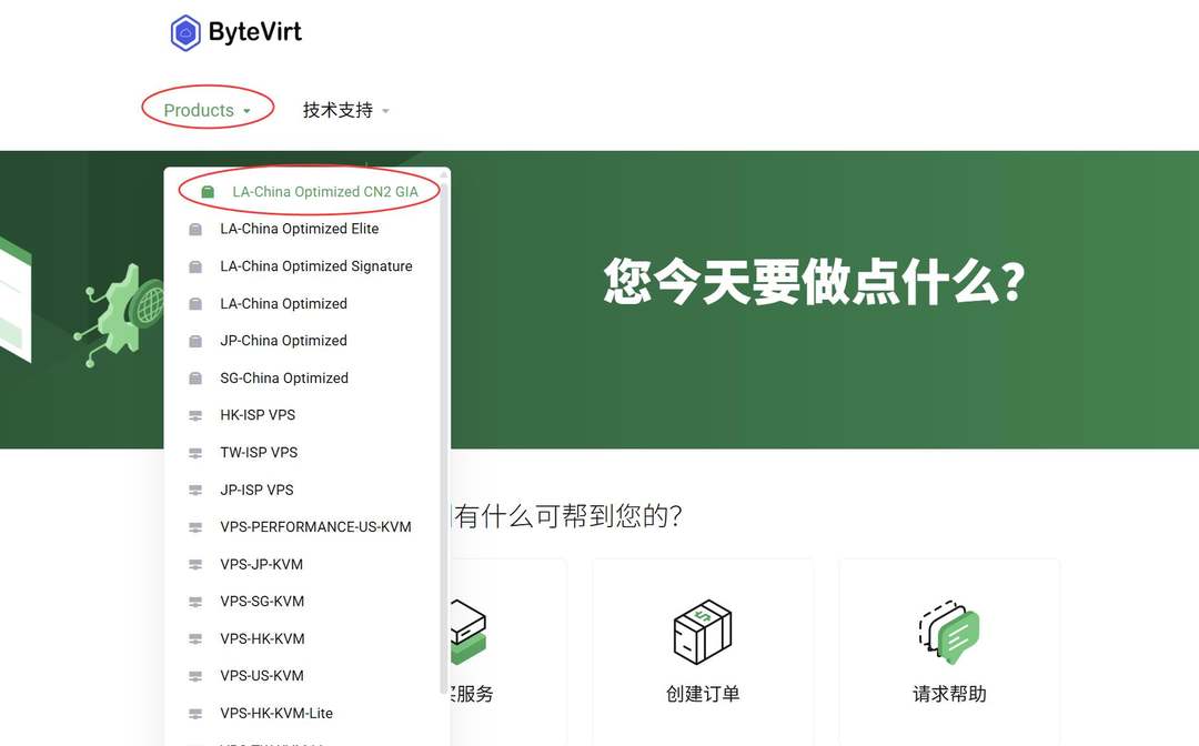 ByteVirt美国VPS购买教程-官网入口