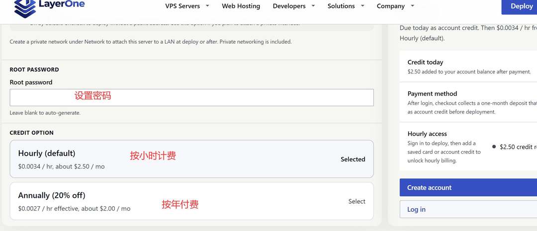 LayerOne美国VPS购买教程-付款周期选择